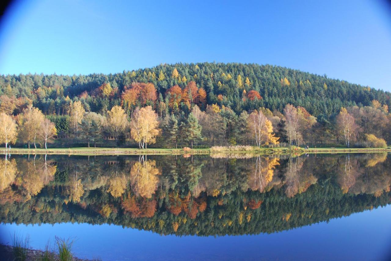 Pension & Metzgerei Friedrich Trebgast Exteriér fotografie